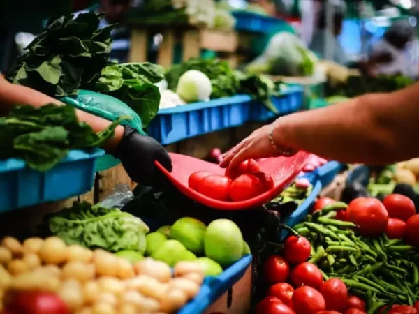 ¿Qué te alcanzará con el salario mínimo 2026? Así impacta el aumento en la canasta básica