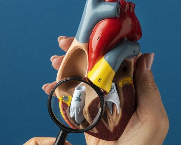 Colesterol alto en adultos jóvenes: causas y riesgos silenciosos