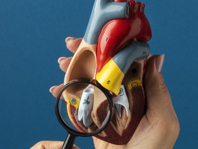 Colesterol alto en adultos jóvenes: causas y riesgos silenciosos