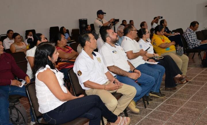 Imparten en la UNACH taller sobre calidad y uso de los propóleos Imparten en la UNACH taller sobre calidad y uso de los propóleos