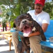 ¿Conoces el Programa Chucho Móvil?