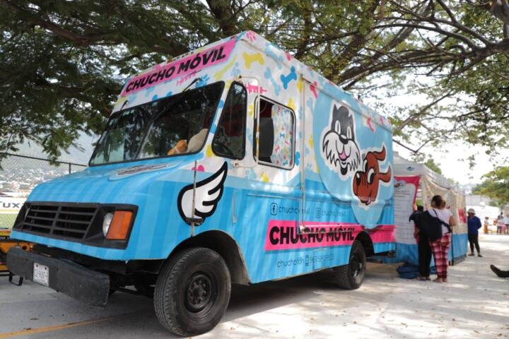 ¿Conoces el Programa Chucho Móvil? ¿Conoces el Programa Chucho Móvil?