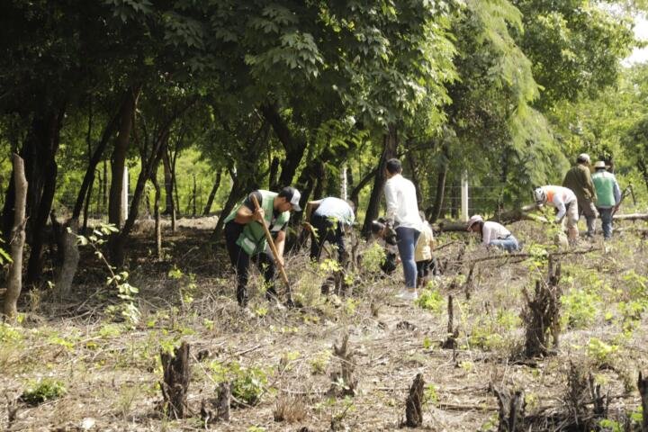 ¿Sabes qué es Arboleando Tuxtla?