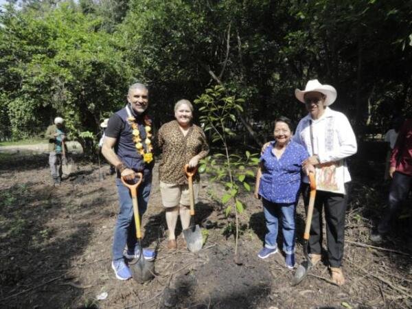 ¿Sabes qué es Arboleando Tuxtla?