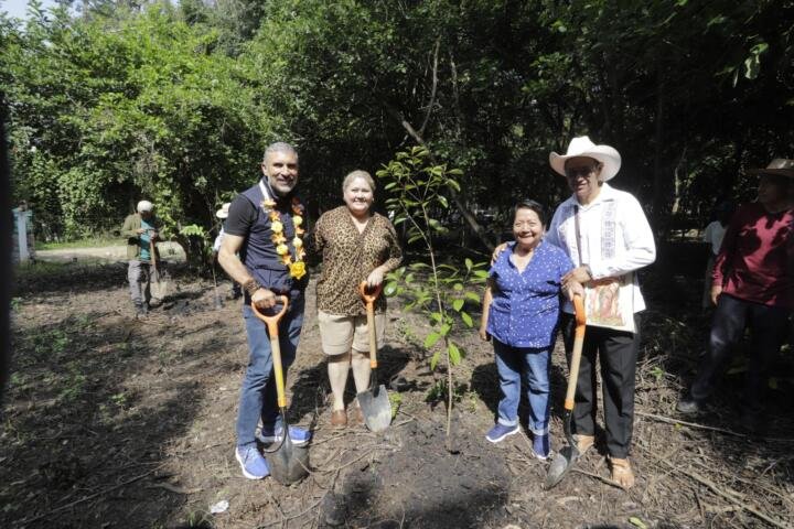 ¿Sabes qué es Arboleando Tuxtla?