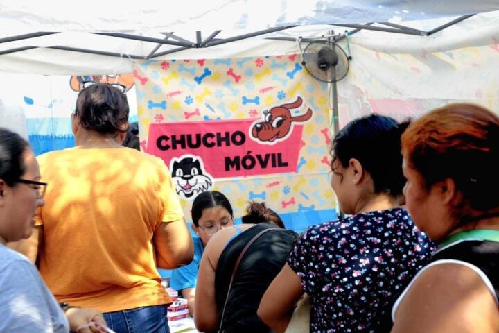 ¿Conoces el Programa Chucho Móvil?