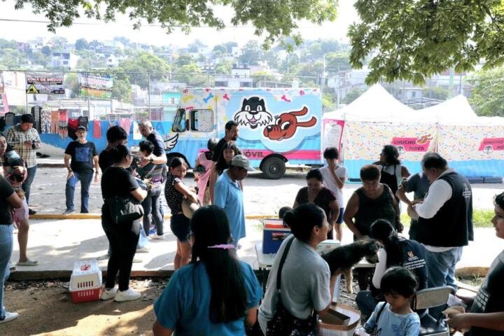 ¿Conoces el Programa Chucho Móvil?