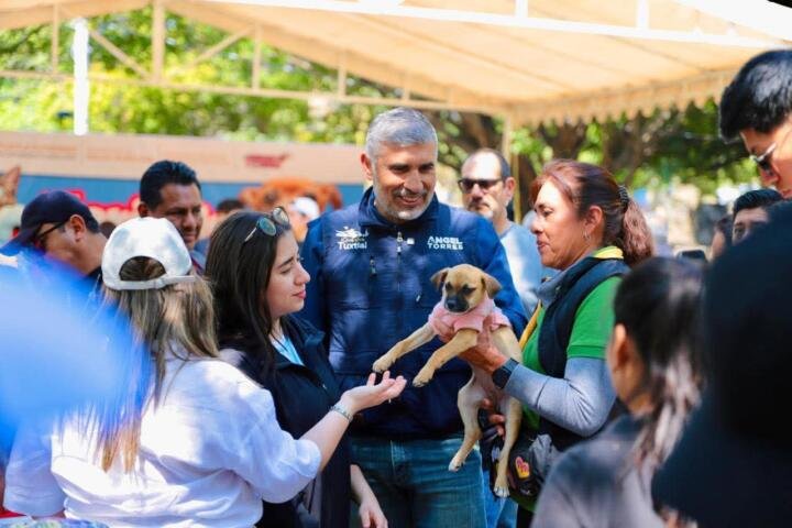 Todo un éxito la Feria de Adopciones en el Parque Tuchtlán