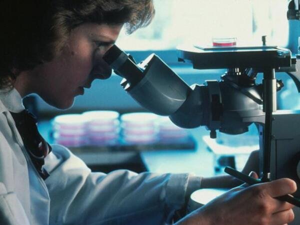 Disruptores endocrinos: los químicos ocultos que pueden alterar tus hormonas