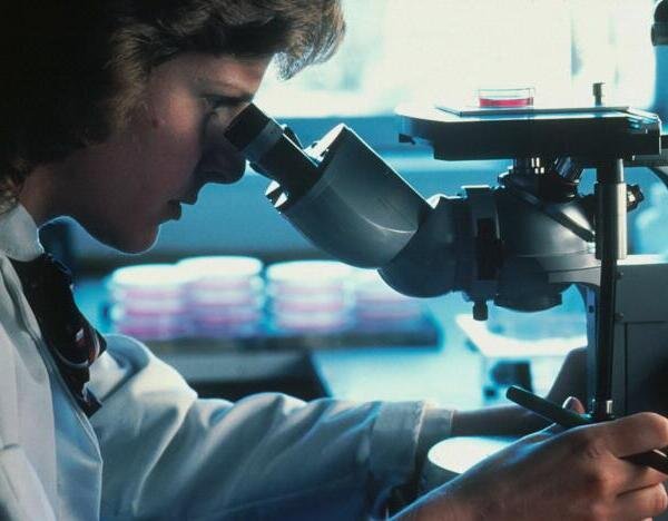 Disruptores endocrinos: los químicos ocultos que pueden alterar tus hormonas