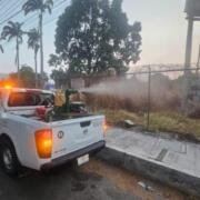 Chiapas registra 76 % de reducción en casos de dengue