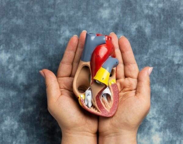 Colesterol alto: ¿por qué muchas personas no saben que lo tienen?