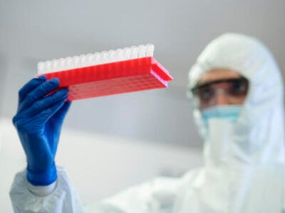 OMS advierte sobre una etapa “peligrosa” tras brotes de hantavirus y ébola