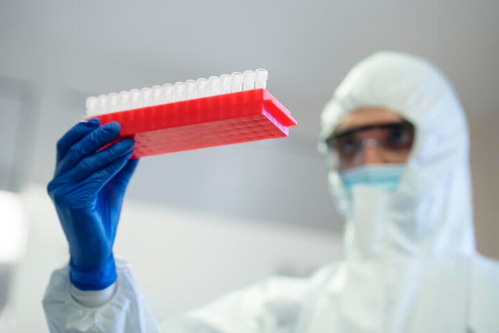 OMS advierte sobre una etapa “peligrosa” tras brotes de hantavirus y ébola