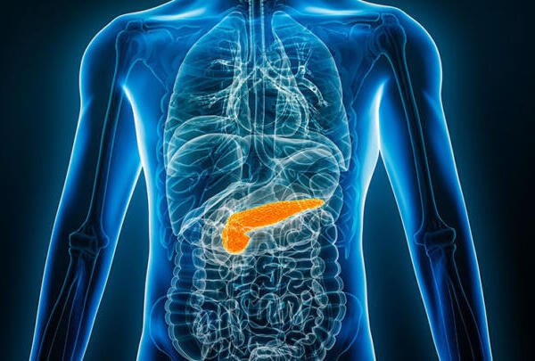Descubren células que podrían revelar el origen del cáncer de páncreas