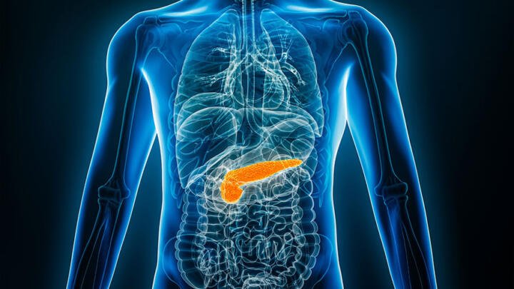 Descubren células que podrían revelar el origen del cáncer de páncreas