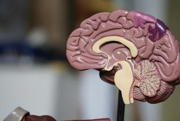 La enfermedad de Alzheimer podría comenzar décadas antes de los primeros síntomas