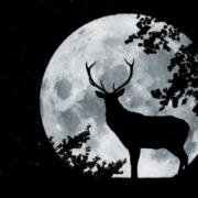 Luna de Ciervo 2026: cuándo podrá verse en México y cuál es el origen de su nombre
