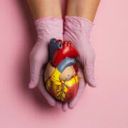 La salud de las arterias empieza a definirse desde la infancia