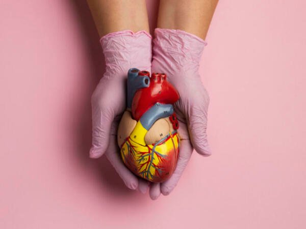 La salud de las arterias empieza a definirse desde la infancia