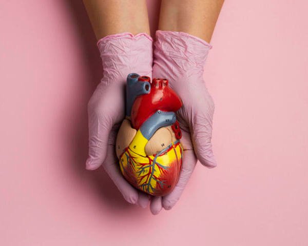 La salud de las arterias empieza a definirse desde la infancia