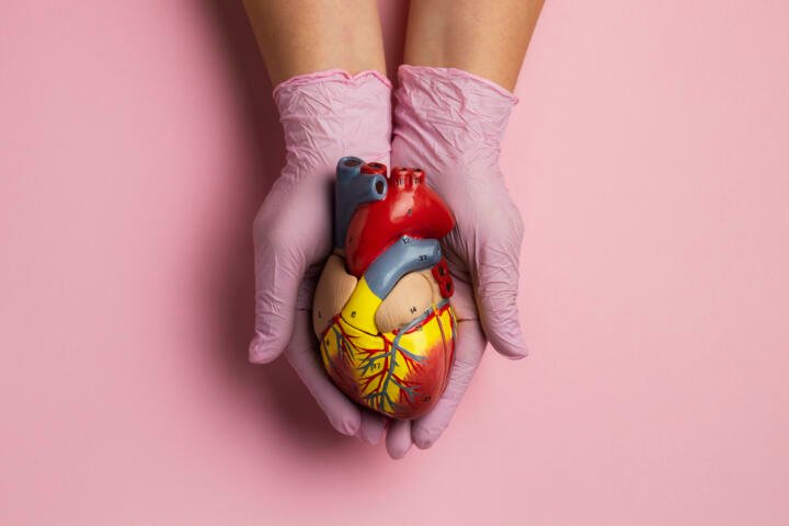 La salud de las arterias empieza a definirse desde la infancia