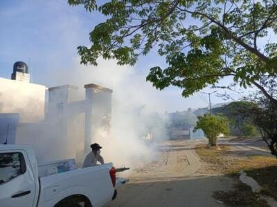 Salud mantiene activo plan de contención contra el dengue