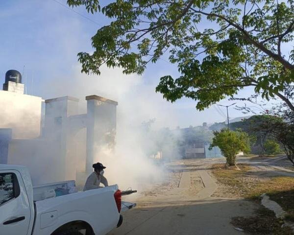 Salud mantiene activo plan de contención contra el dengue