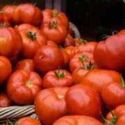 Jitomate registra uno de sus mayores aumentos de septiembre
