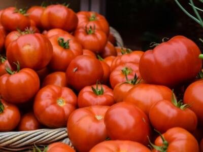 Jitomate registra uno de sus mayores aumentos de septiembre