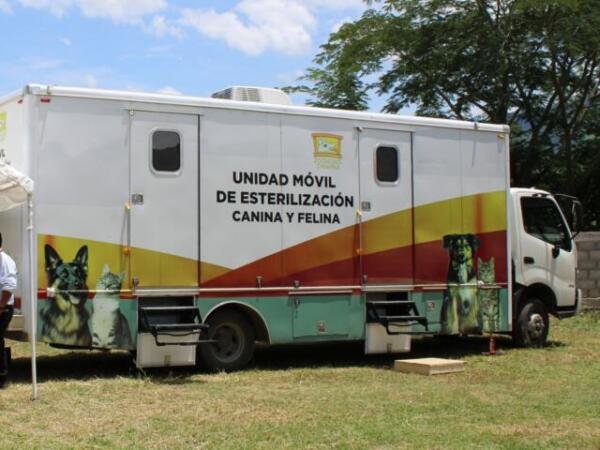 SS convoca a la Jornada Masiva de Esterilización de perros y gatos