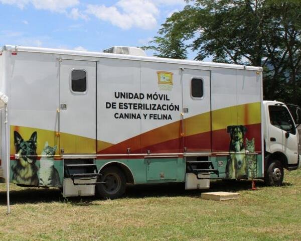 SS convoca a la Jornada Masiva de Esterilización de perros y gatos