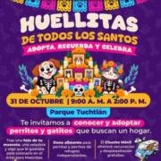 Invitan a participar en Huellitas de Todos los Santos