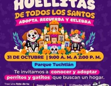 Invitan a participar en Huellitas de Todos los Santos