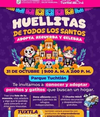 Invitan a participar en Huellitas de Todos los Santos