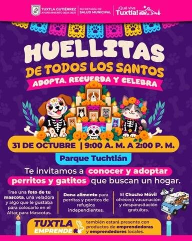 Invitan a participar en Huellitas de Todos los Santos